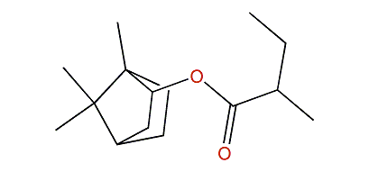 1,7,7-Trimethylbicyclo[2.2.1]hept-2-yl 2-methylbutanoate